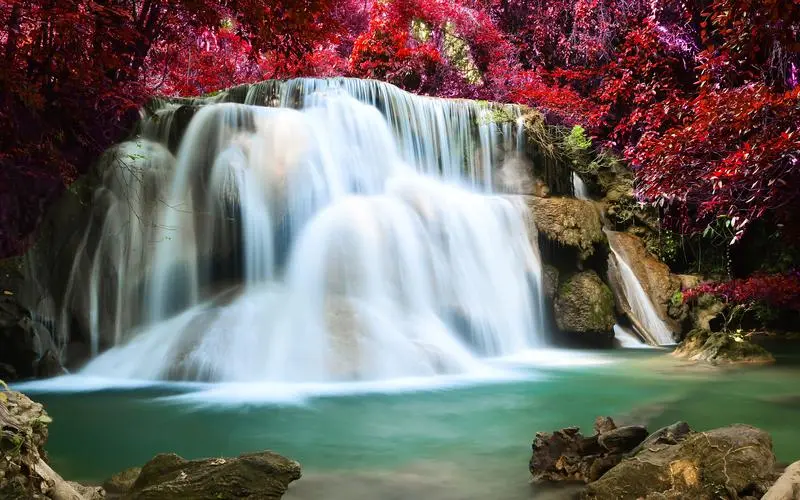 网络化高质量智慧